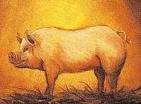 Image representation of the Chinese Astrology Zodiac sign PIG